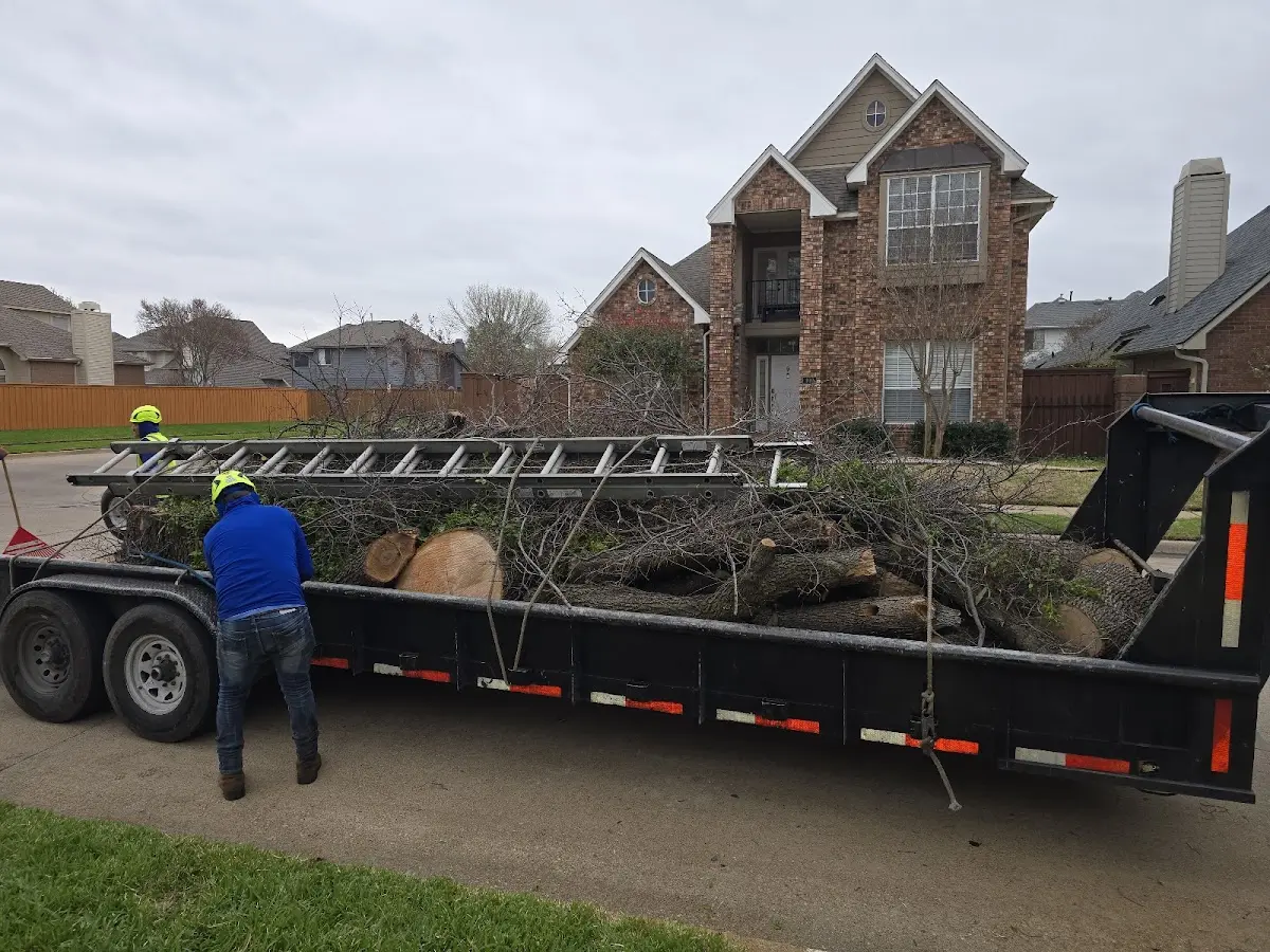 Expert Tree Removal with proper safety equipment in Uvalda